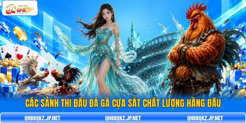 Các sảnh thi đấu đá gà cựa sắt chất lượng hàng đầu Các sảnh thi đấu đá gà cựa sắt chất lượng hàng đầu