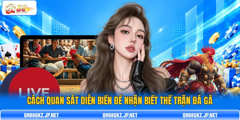 Cách quan sát diễn biến để nhận biết thế trận đá gà Cách quan sát diễn biến để nhận biết thế trận đá gà