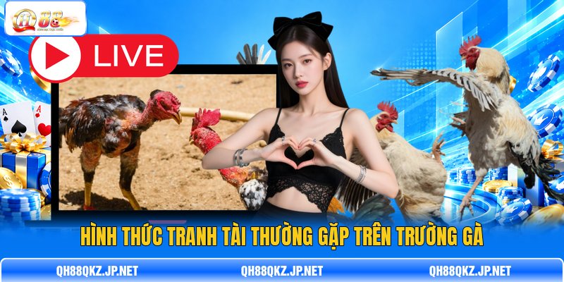 Hình thức tranh tài thường gặp trên trường gà Hình thức tranh tài thường gặp trên trường gà