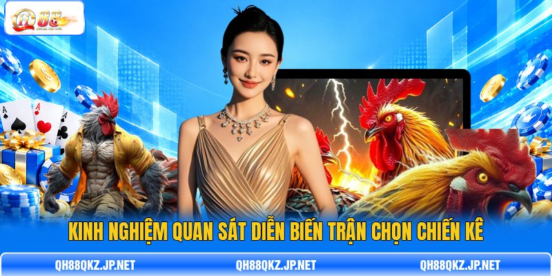 Kinh nghiệm quan sát diễn biến trận chọn chiến kê Kinh nghiệm quan sát diễn biến trận chọn chiến kê